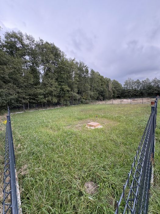 Działka rekreacyjna nad jeziorem