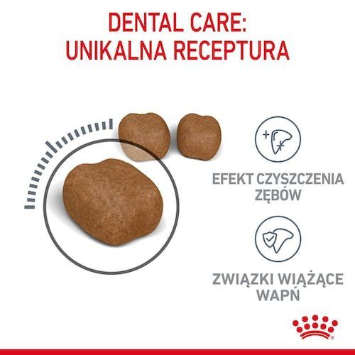Karma dla kota RoyalCanin Redukuje odkładanie kamienia nazębnego 3,5kg