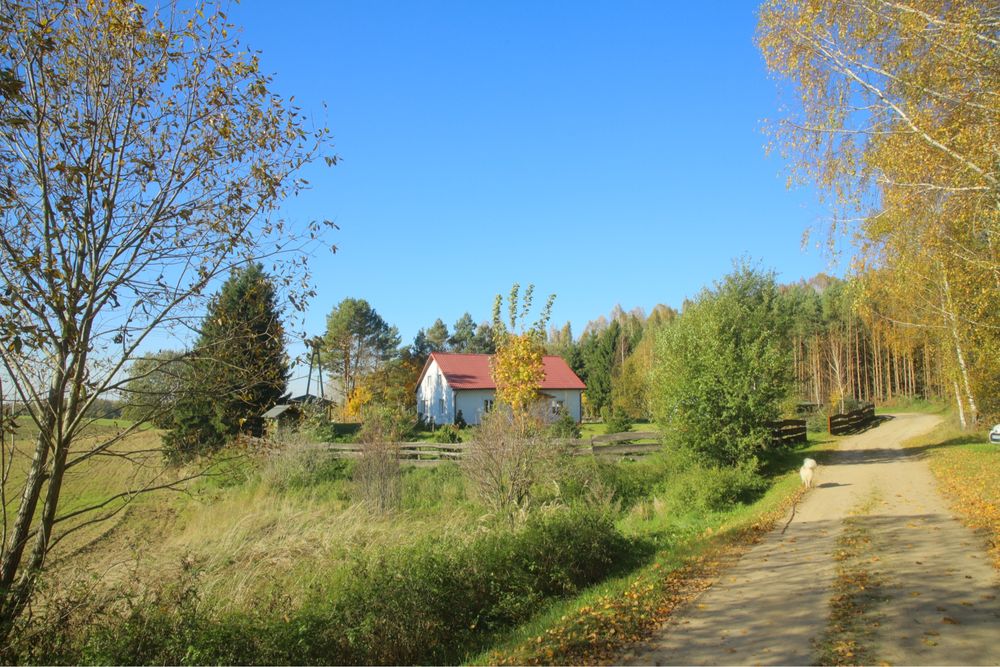 Leśne siedlisko 3000 m² warmia i mazury cisza i spokój i natura