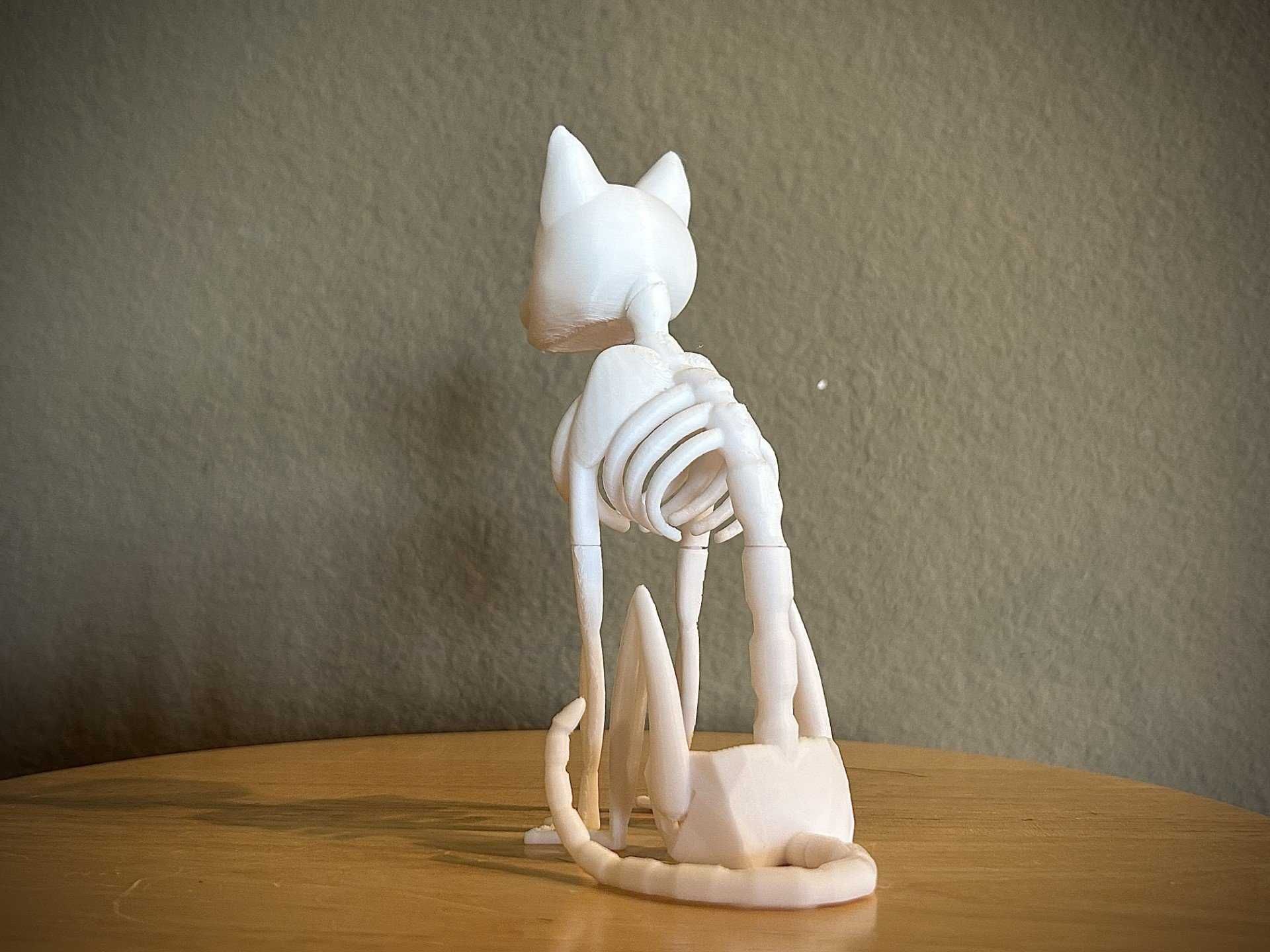 Стилизованный скелет кошки \ Хэллоуин