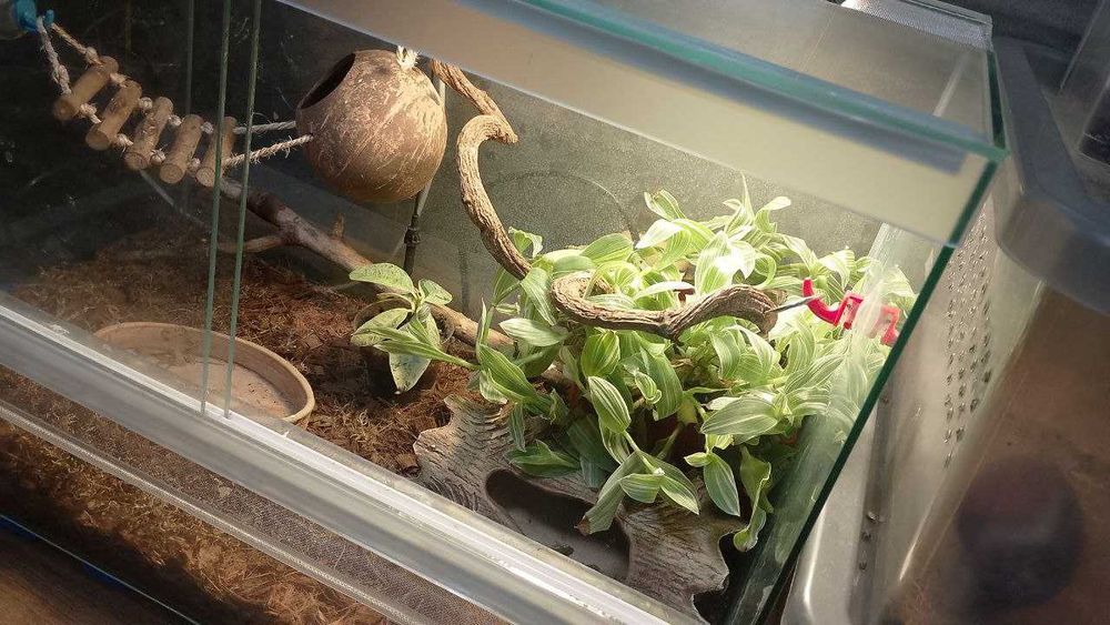 Терарріум 60х35х40