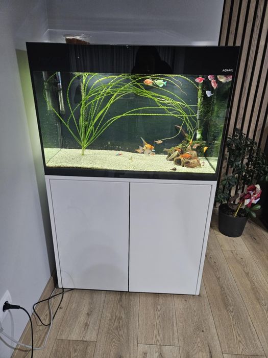 Akwarium aquael glossy 120 litrow