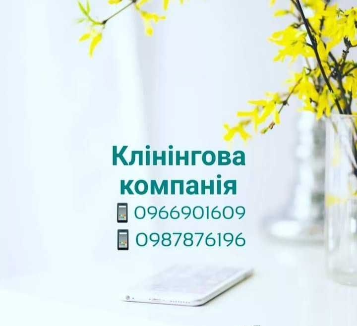 Клінінгова компанія