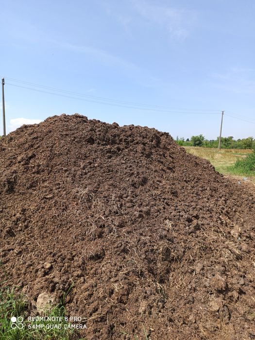 Привезу грибний компост