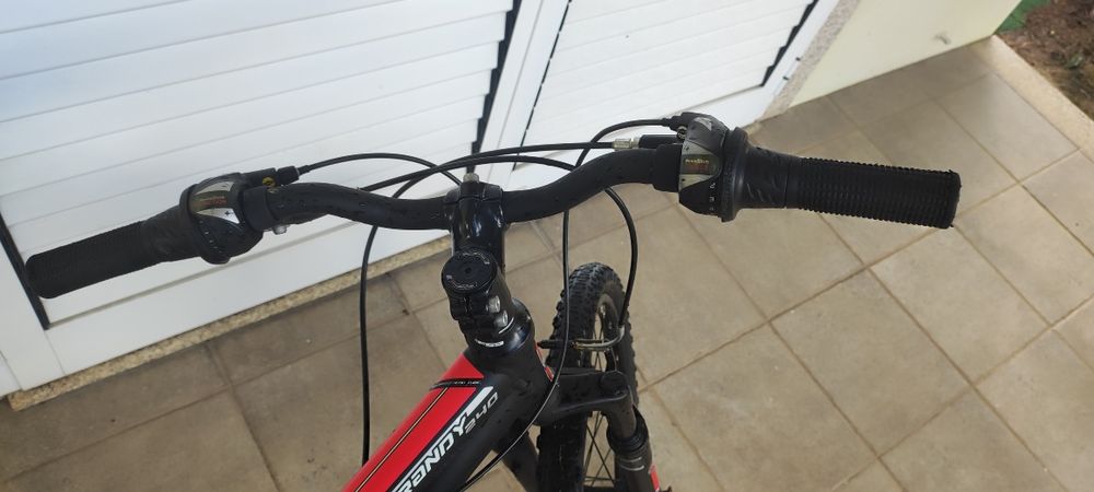 Bicicleta coluer randy 240