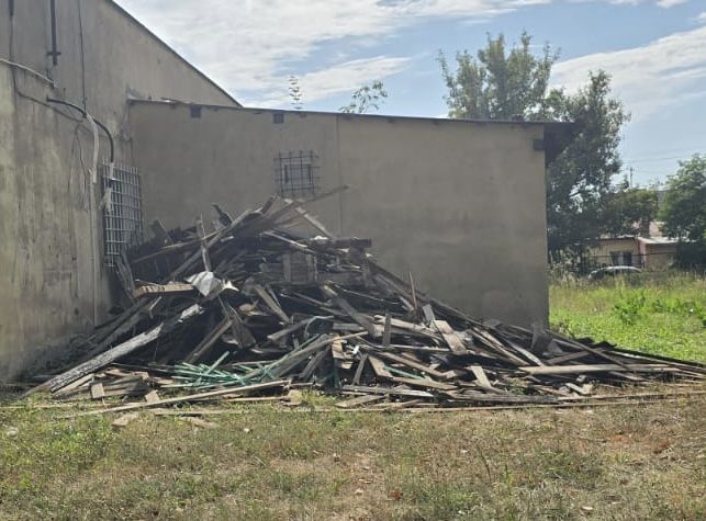 Drewno oddam za darmo