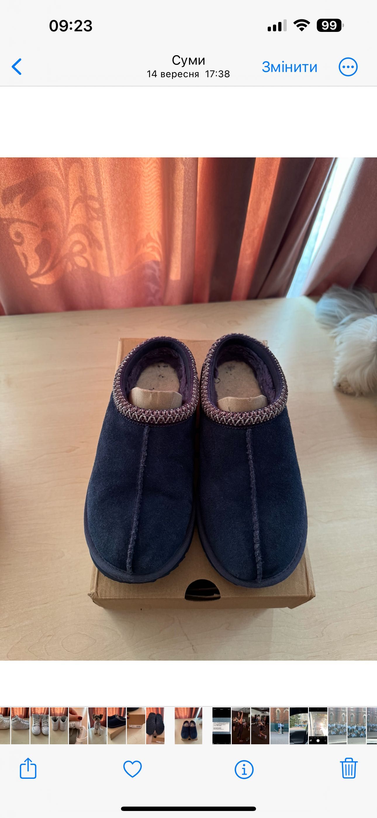 Ugg Tasman оригінал