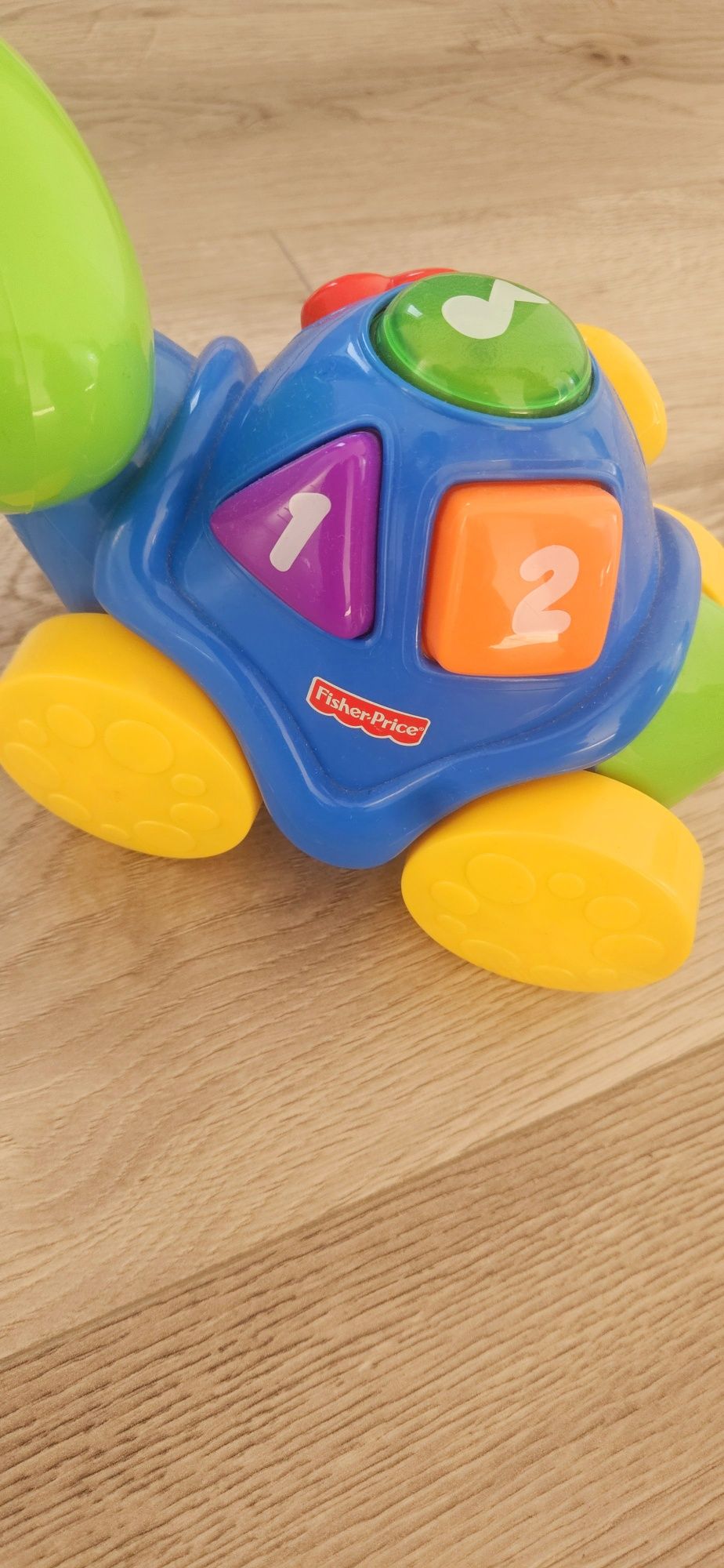 Śpiewający żółwik Fisher Price.