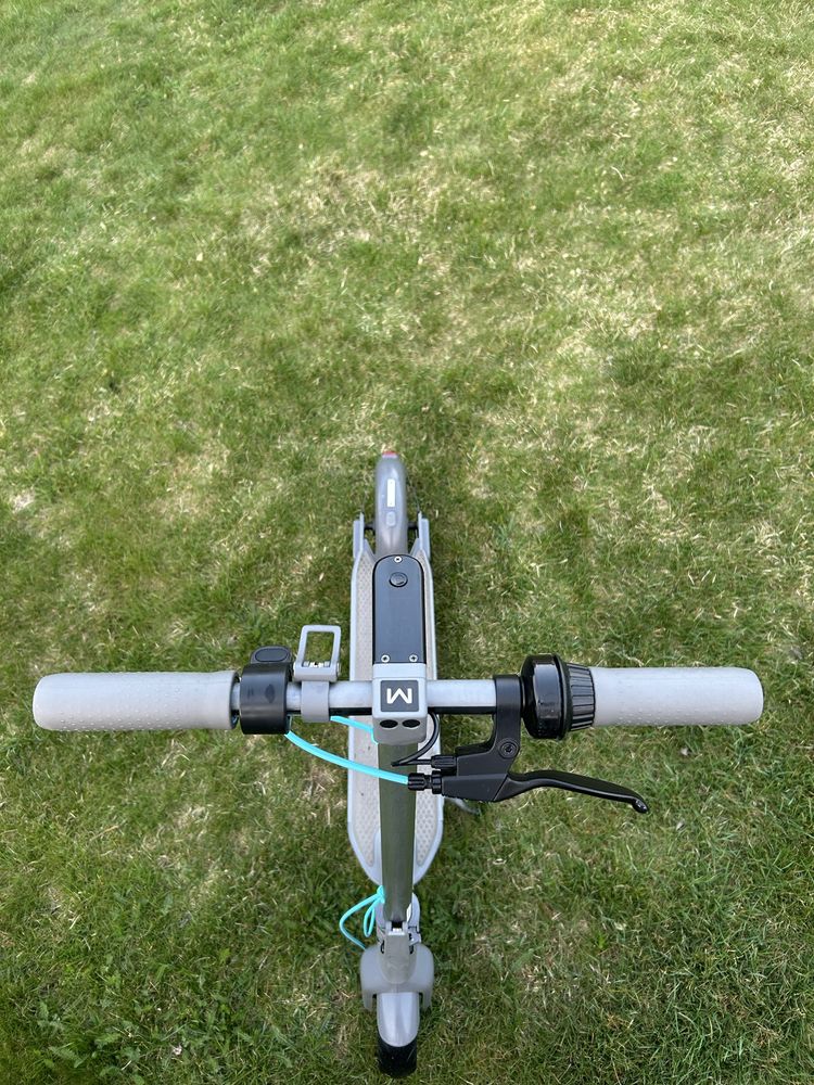 Hulajnoga Motus Scooty 10 2022