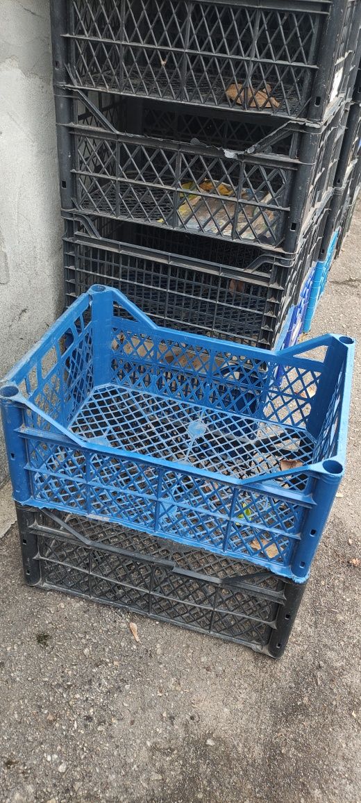 Продам пластикові ящики для фруктів .