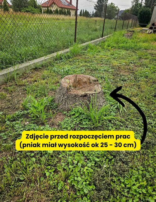 Frezarka do pni na wynajem | Karczownik | Mulczer | MOCNA 15KM