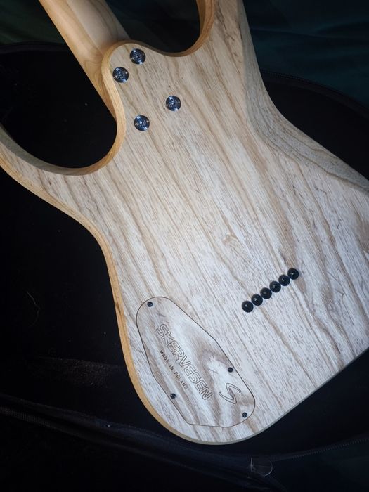 Skervesen Velociraptor 6