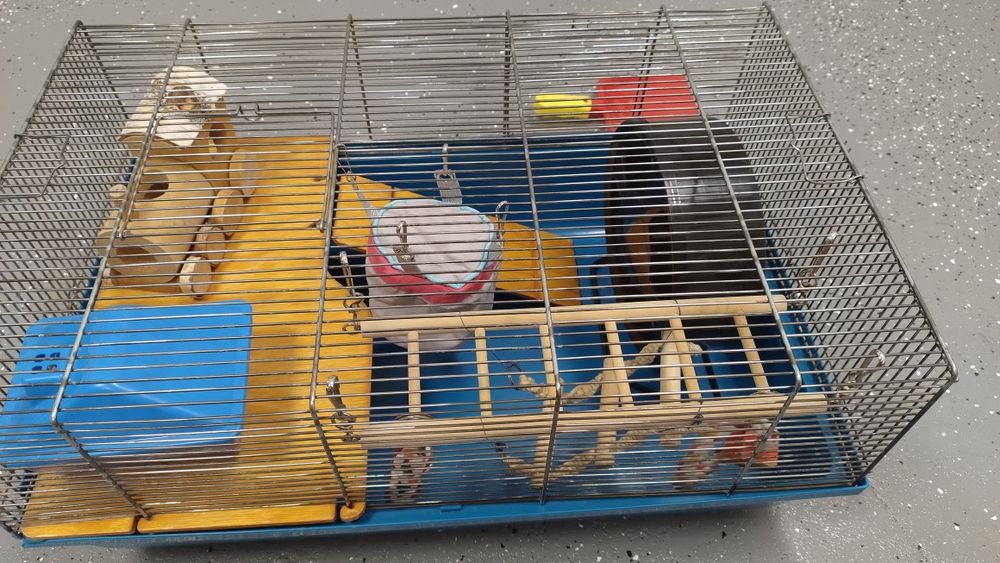 Klatka dla chomika, myszy, gryzonia - zestaw