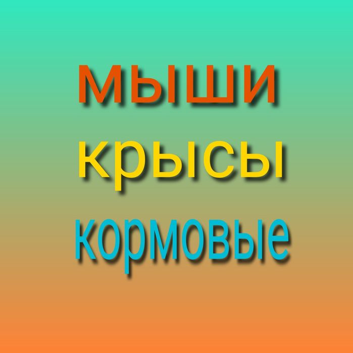 Мыши, крысы кормовые