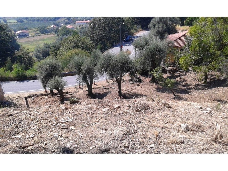 Terreno para construção na Facha