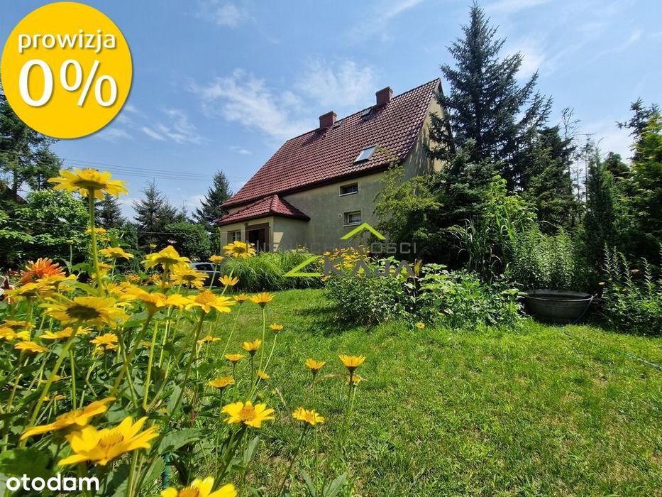 Dom wolnostojący nad rzeką, k. Nowej Soli