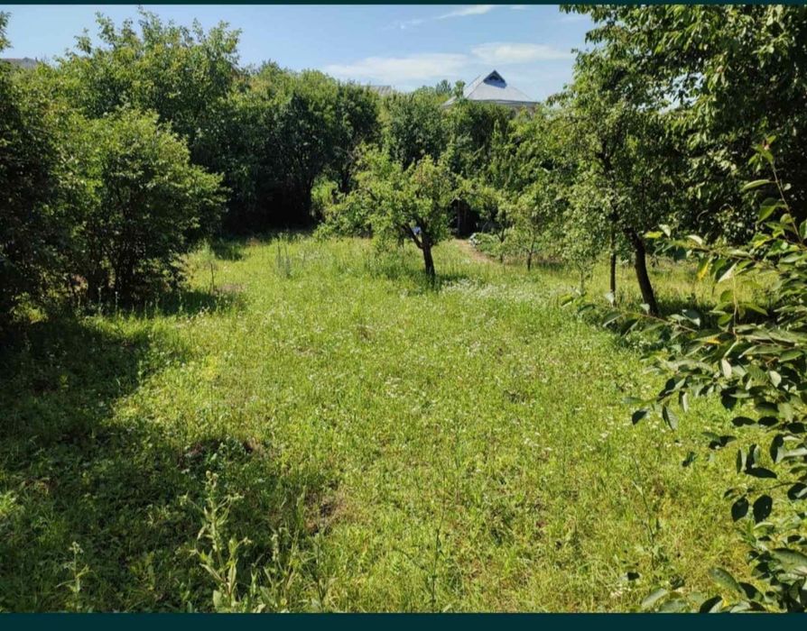 Продам земельну ділянку в Ружичні