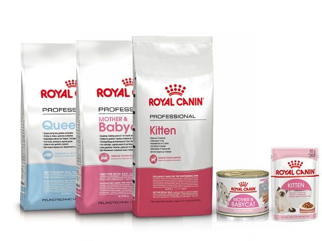 2кг Сухий корм для котів Royal Canin kitten