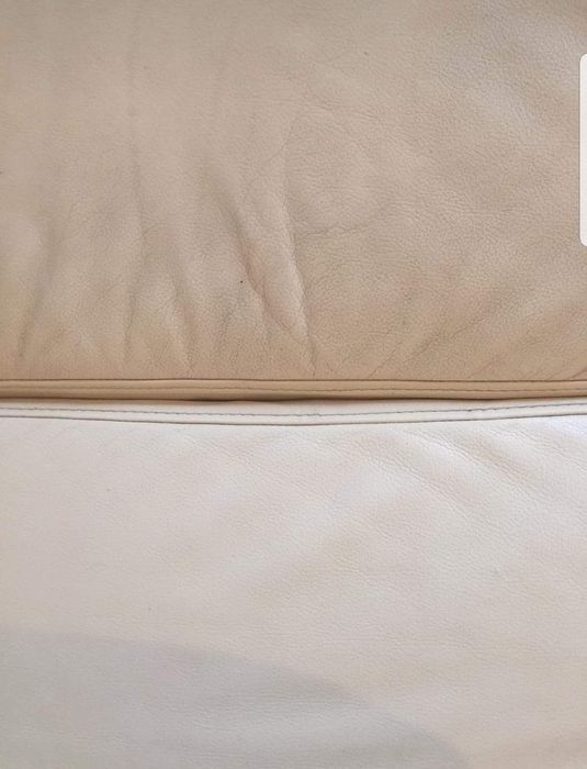 Raypath Czyscik do skórzanej tapicerki