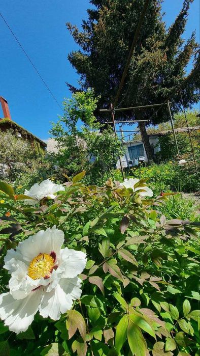 Продам участок земли под строительство вашего дом мечты!