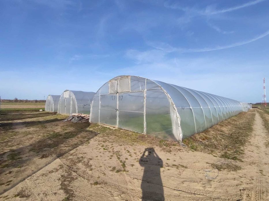 Ocynkowana konstrukcja tunelu foliowego 7,5x30x3m używana