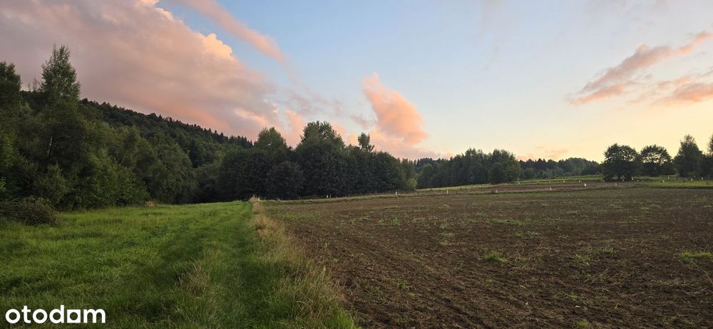 Działka w bezpośrednim sąsiedztwie Lanckorony