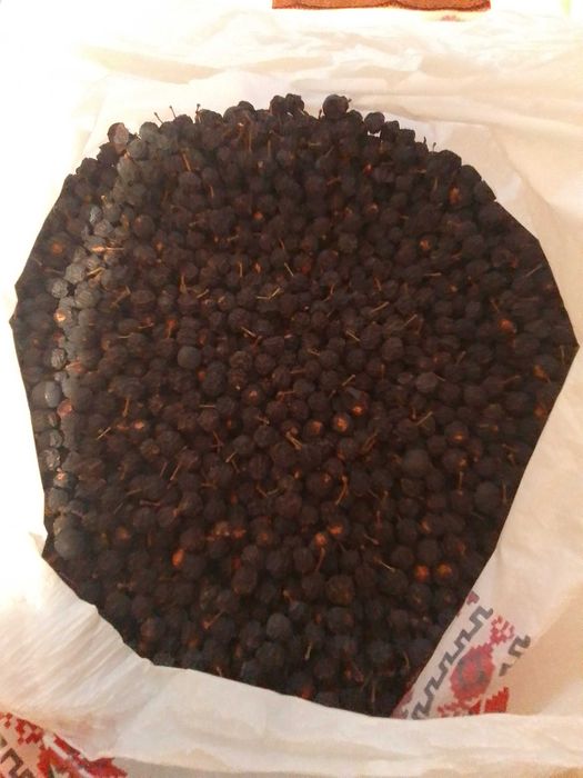 Продам брусницю та ягоди терену.