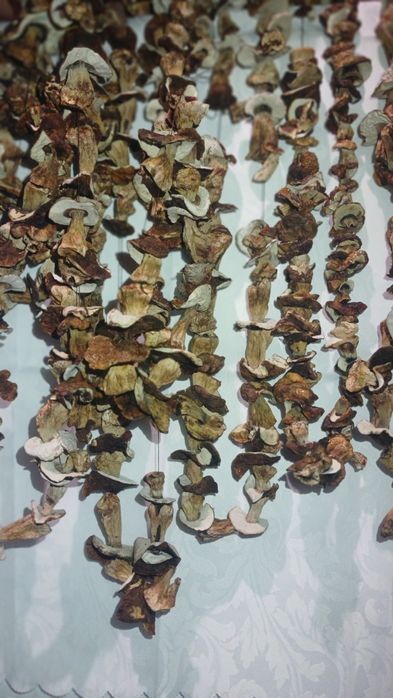 Білі сухі гриби з печі!