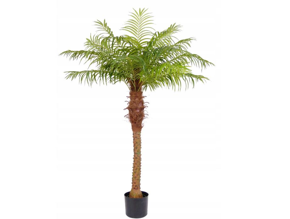 Sztuczny kwiat sztuczna palma w doniczce PALMA XXL - 200 cm