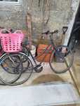 Lote de 6 bicicletas