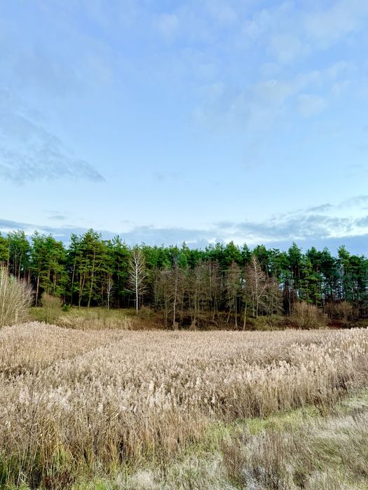 ‼️Дім, Якого Немає Аналогів. Ліс. Озеро. Ясногородка‼️