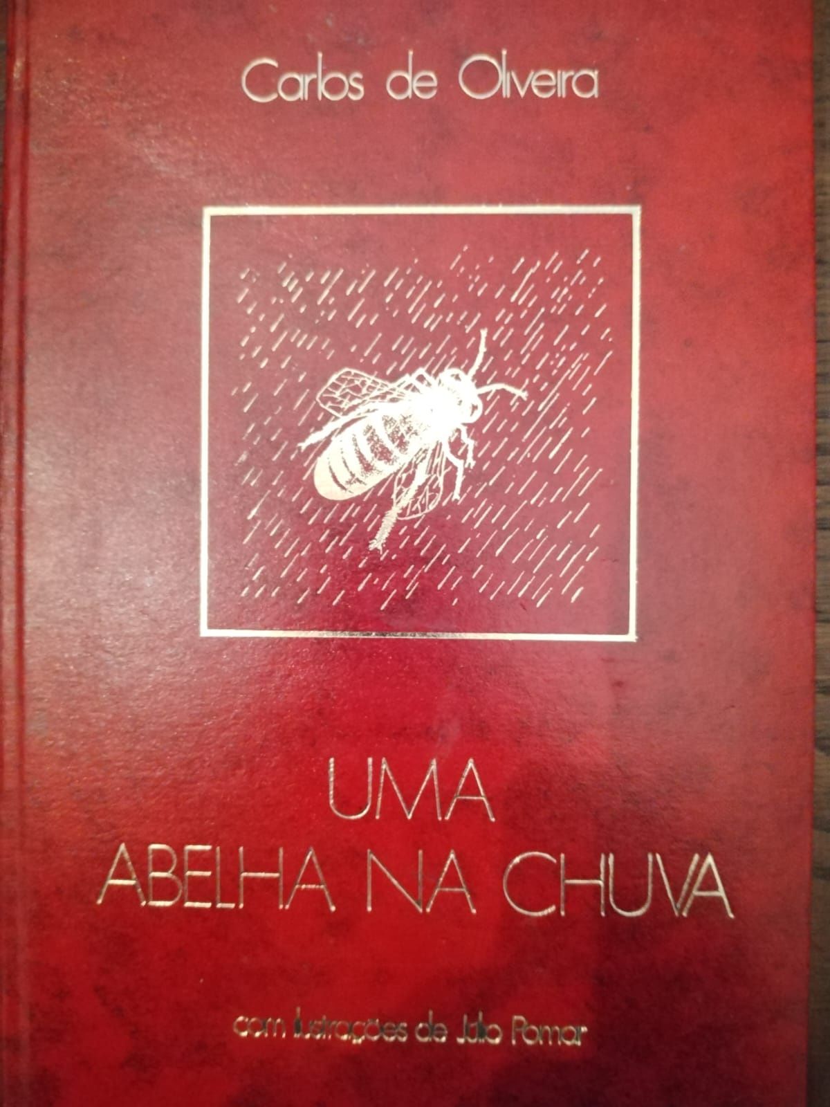 Uma abelha na chuva