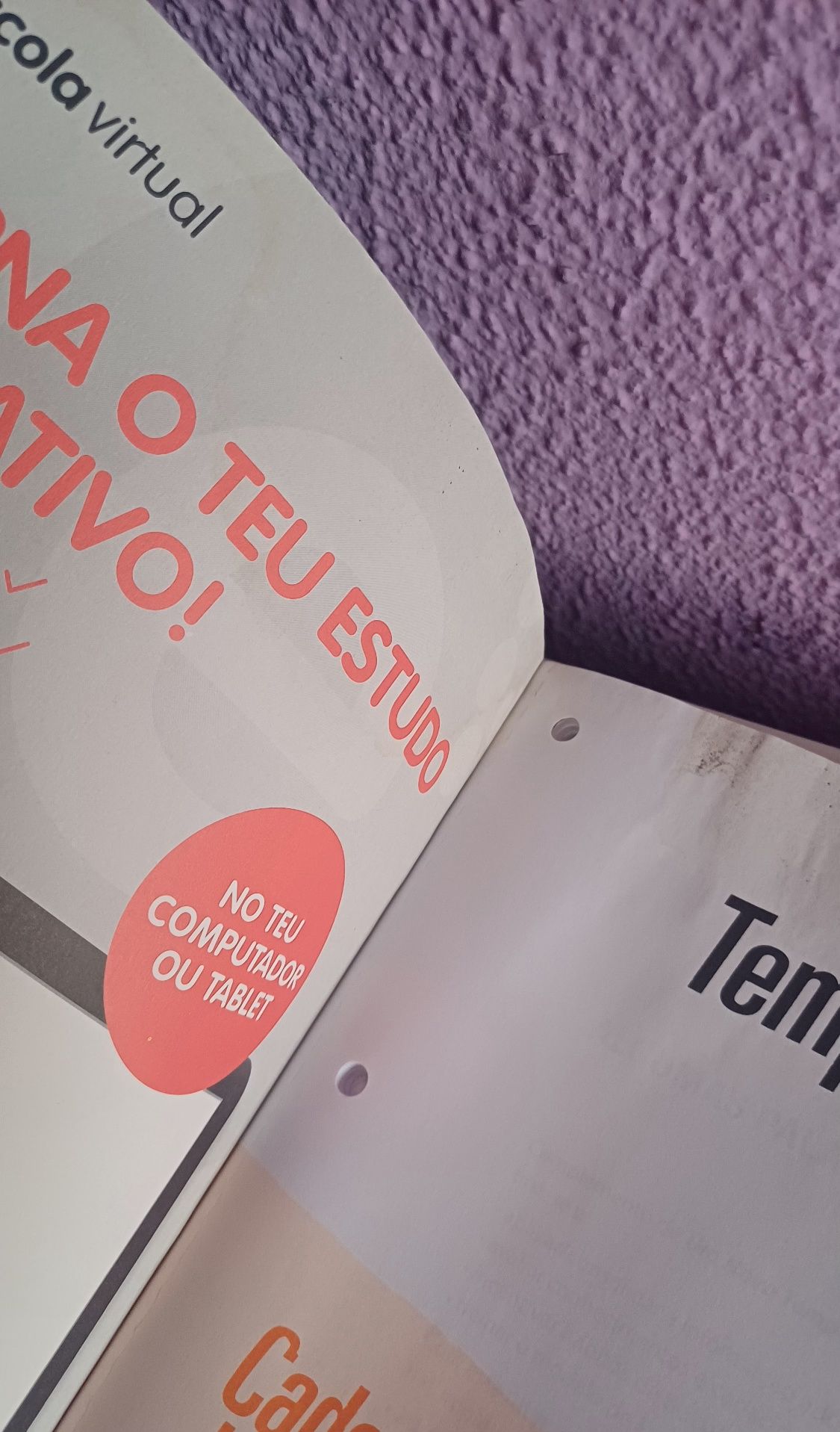 Caderno atividades 11 - português
