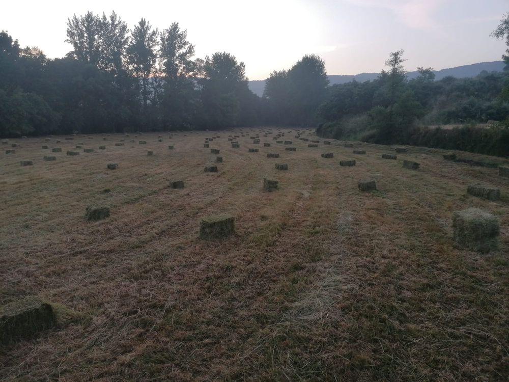 Fardos  de  Feno