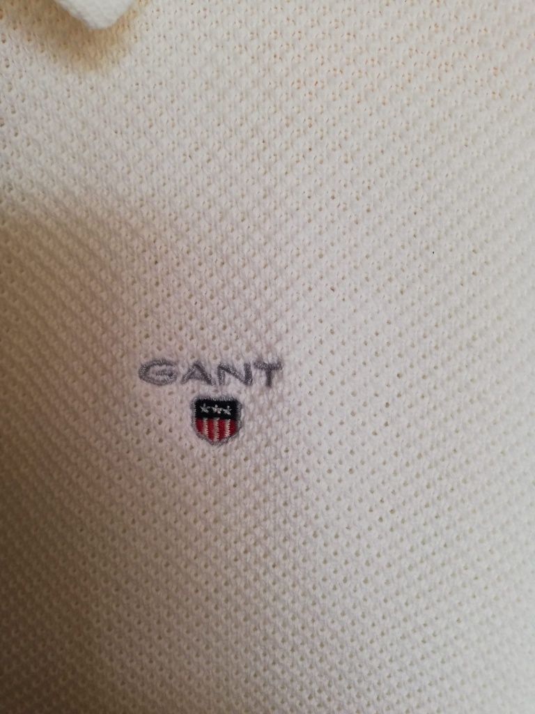 Polo Gant cinzenta