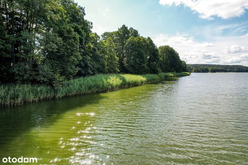 Działki z linią brzegową oraz z dostępem do jeziora Wierzbowskiego