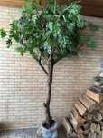 Planta artificial