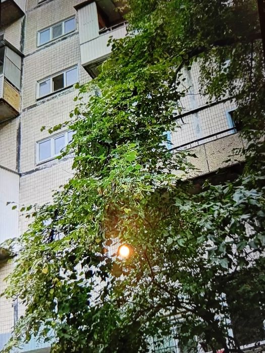 шукаю співмешканку на соломянку у киеві