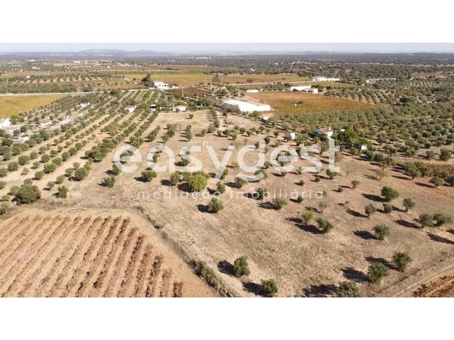 Monte em Ruinas com 2,6 hectares às portas de Reguengos de Monsaraz