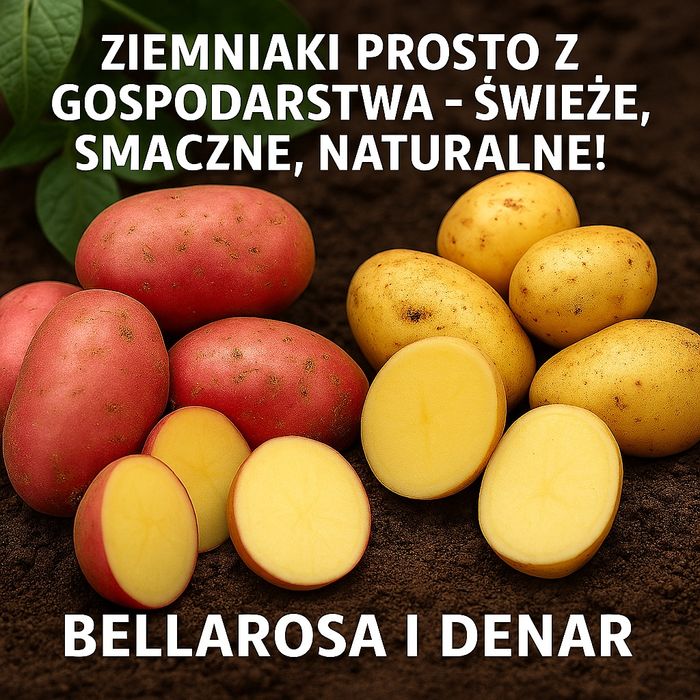 Ziemniaki prosto z gospodarstwa - świeże, smaczne, naturalne!
