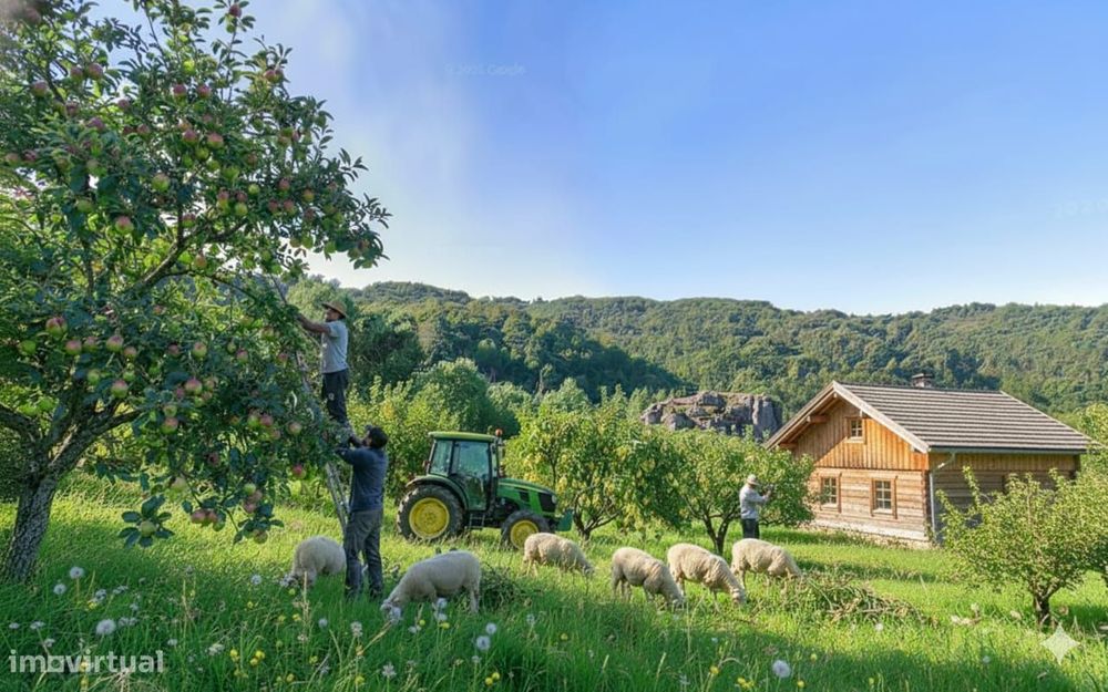 Terreno com 30 000 m2 no Douro e a 60 km Porto