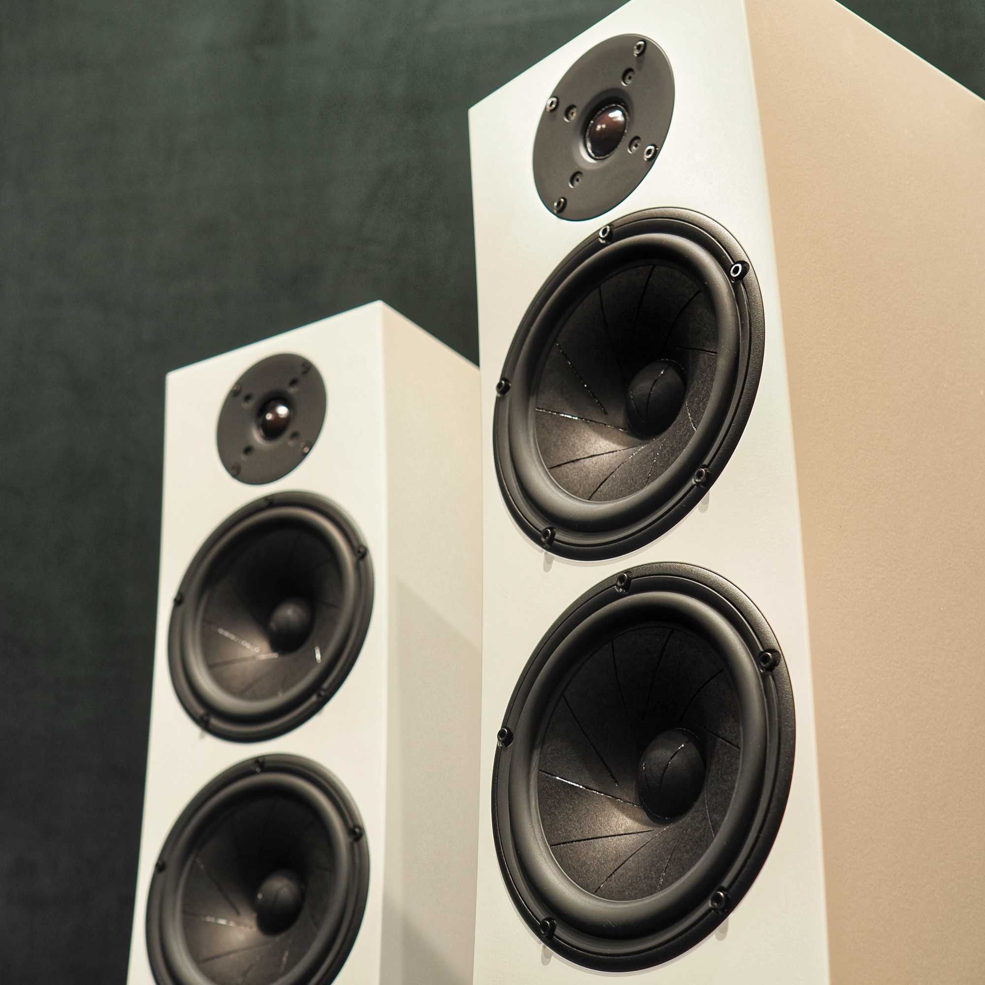 Pylon Audio Jasper 25 MKII polskie kolumny podłogowe nowe 5 lat gwar