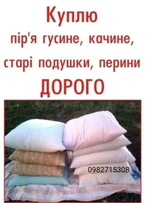 Пір'я водоплавної птиці