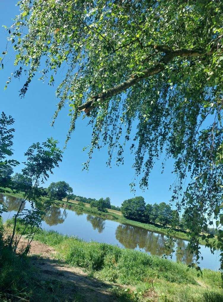 Pokoje 2osobowe nad Bugiem. Działka z linią brzegową. 100km od Wa-wy