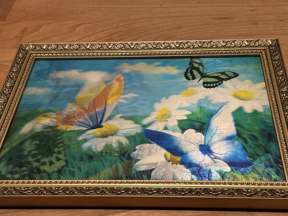 Tropikalne motyle - obrazek 3D w złotej ramie