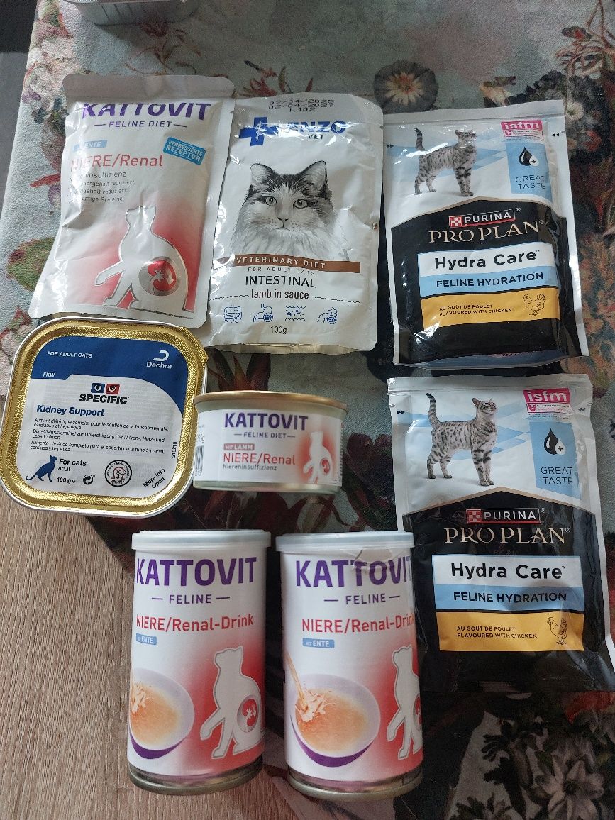 Kot nerki renal karma suple tanio długie terminy