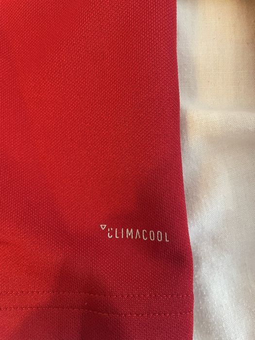 Camisola Treino Benfica