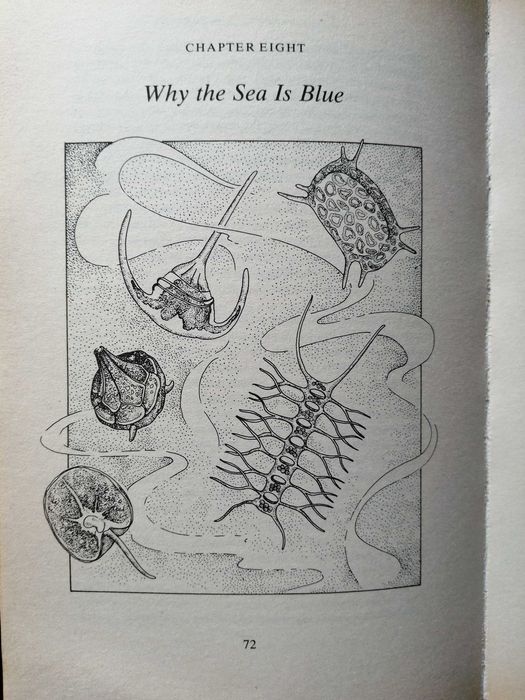Книга англійською Paul Colinvaux
Why big fierce animals are rare