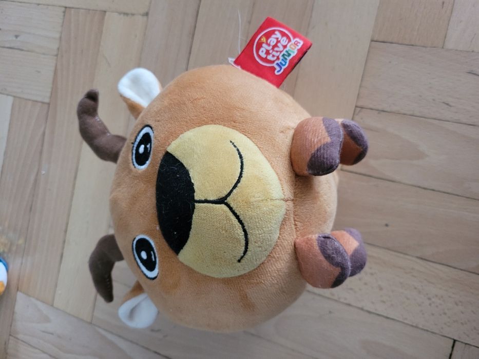 Miś że sklepu smyk