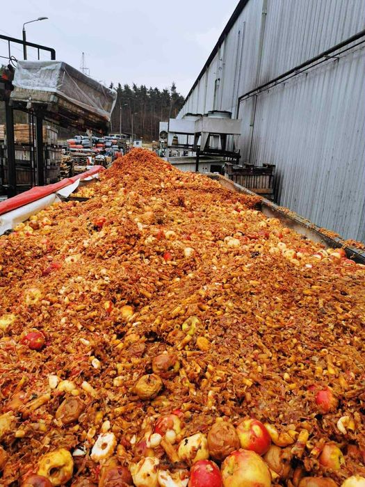 Wysłodki wytłok z Jabłka Marchwi  pasza  KRÓW BYDŁA